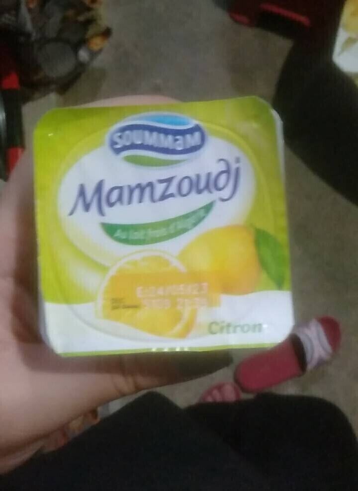 Mamzoudj yaourt - نتاج - fr