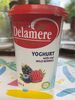 Yoghurt with real wild berries - Product