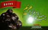 Dates - Product