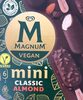 Vegan mini ice cream - Product