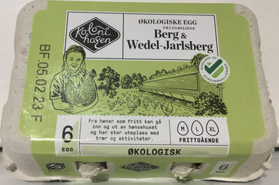 Økologiske Egg - Produkt