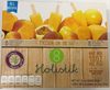 Mini paletas de mango maracuya Holistik - Producto