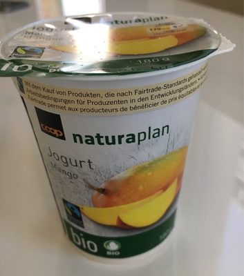 Jogurt Mangue bio - Prodotto - fr