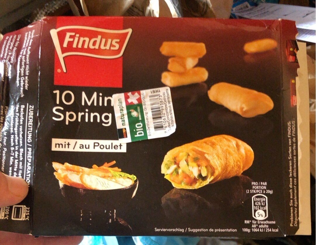 10 min spring roll - Product - fr