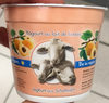 Yogourt au lait de brebis abricot - Product