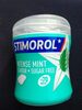 Intense Mint flavour sugar free - Produit