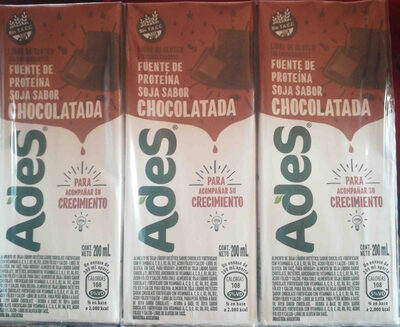 Leche Soja sabor chocolatada - Produkt - es