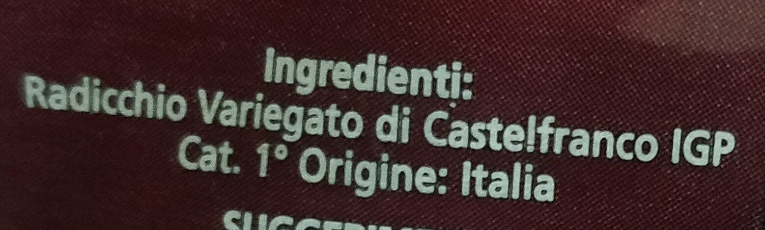 Radicchio variegato di castelfranco igp - Ingredienti