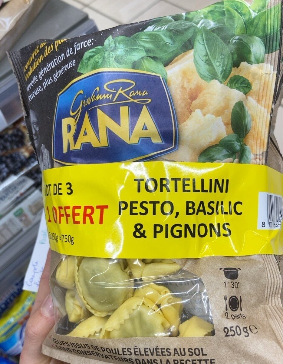 Tortellini pesto basilic & pignons - نتاج - fr