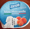 Mini Mozarella Italiana 125 grs - Product