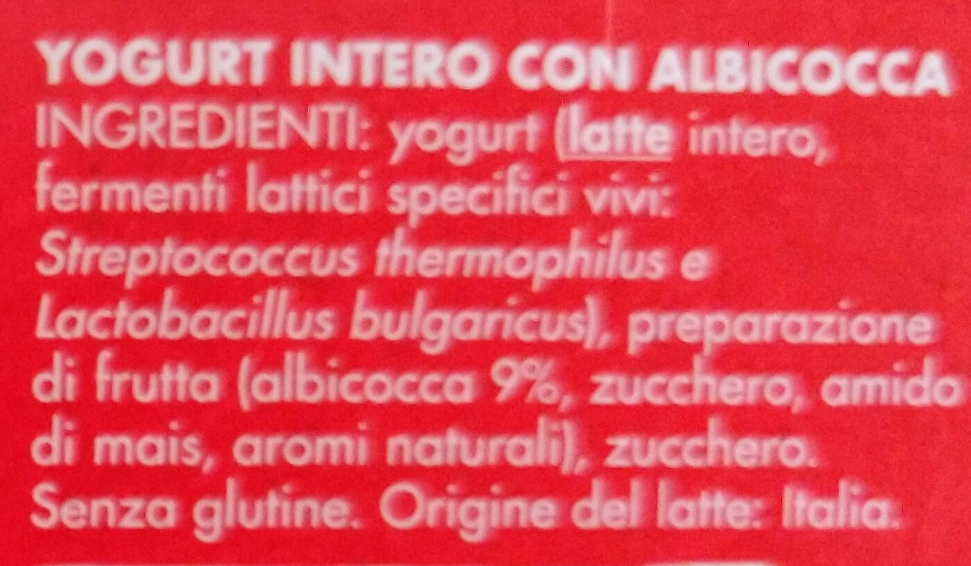 YOGURT intero con albicocche - Ingredienti