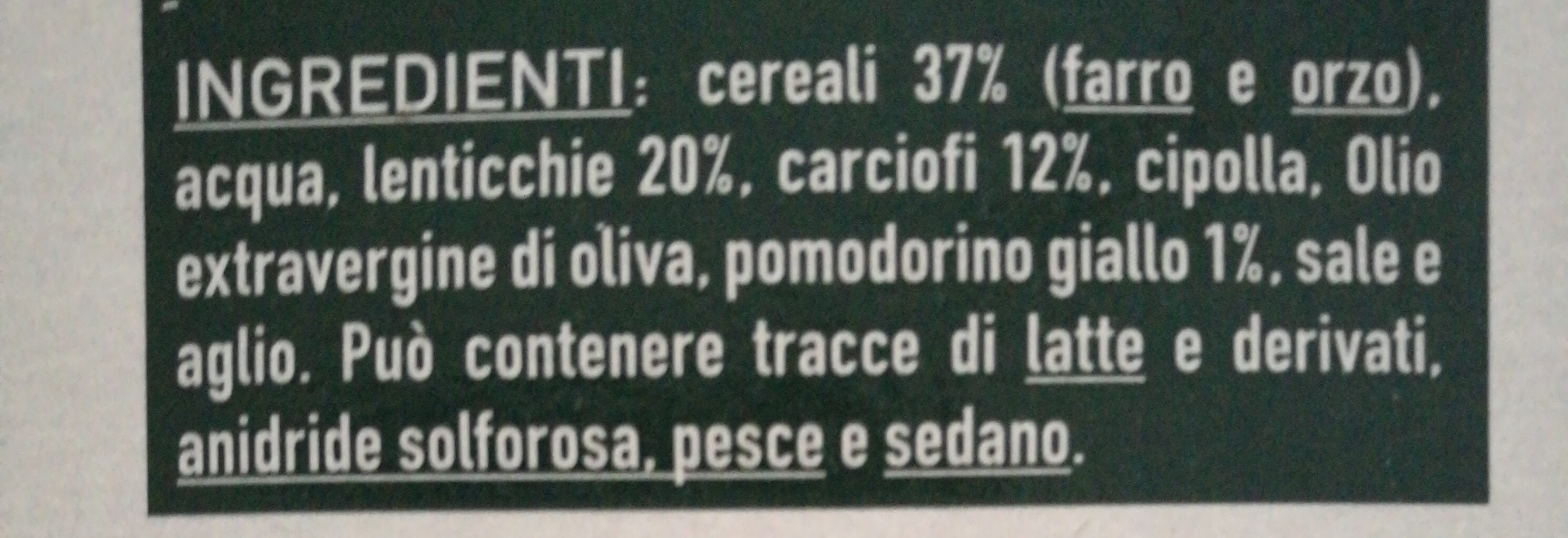 Zappe di carciofi - Ingredients - it
