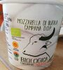 Mozzarella di bufala campana d. O. P - Prodotto