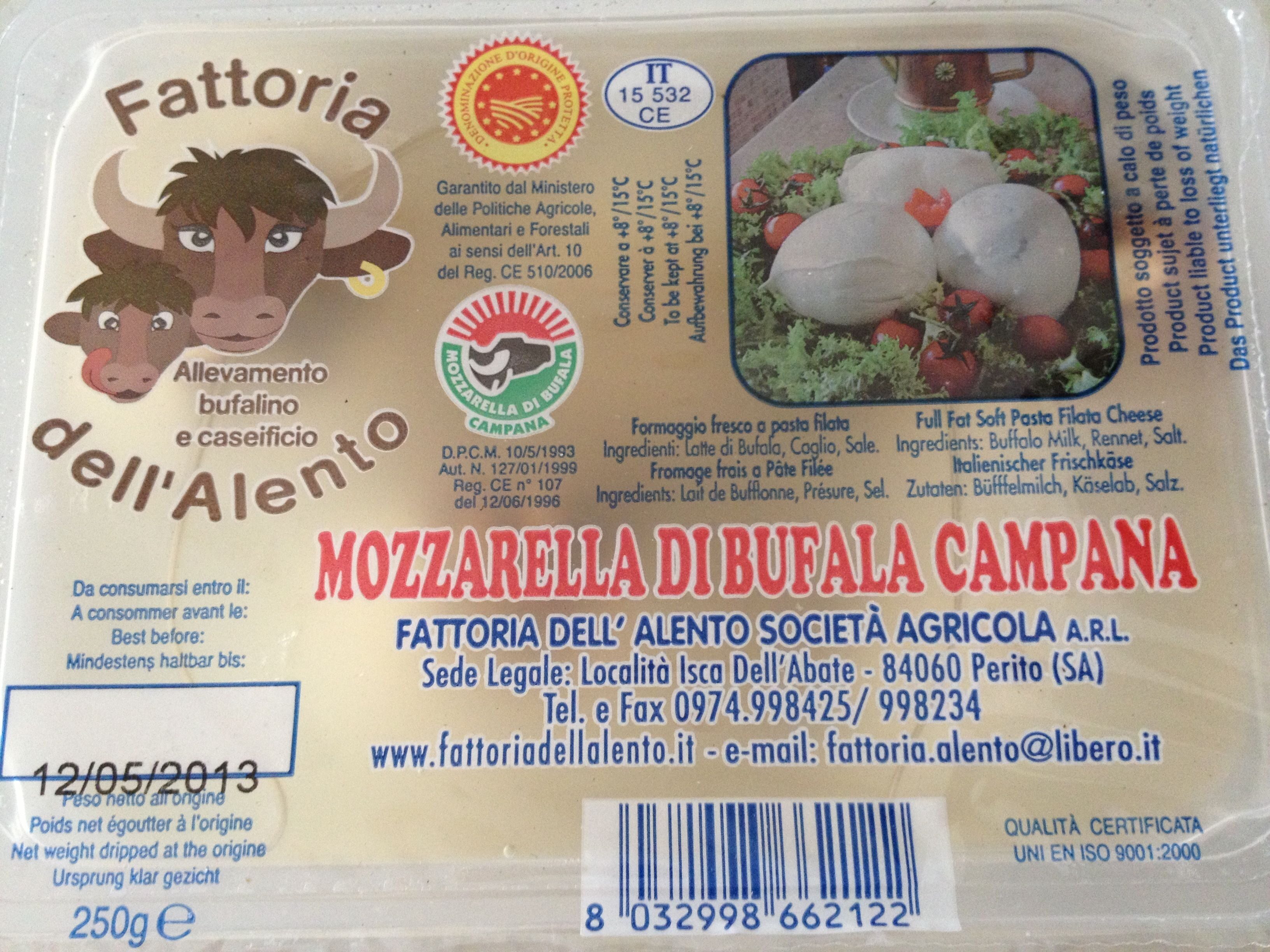 Mozzarella di Bufala Campana AOP - 250 g - Fattoria dell'Alento - Ingrédients - it