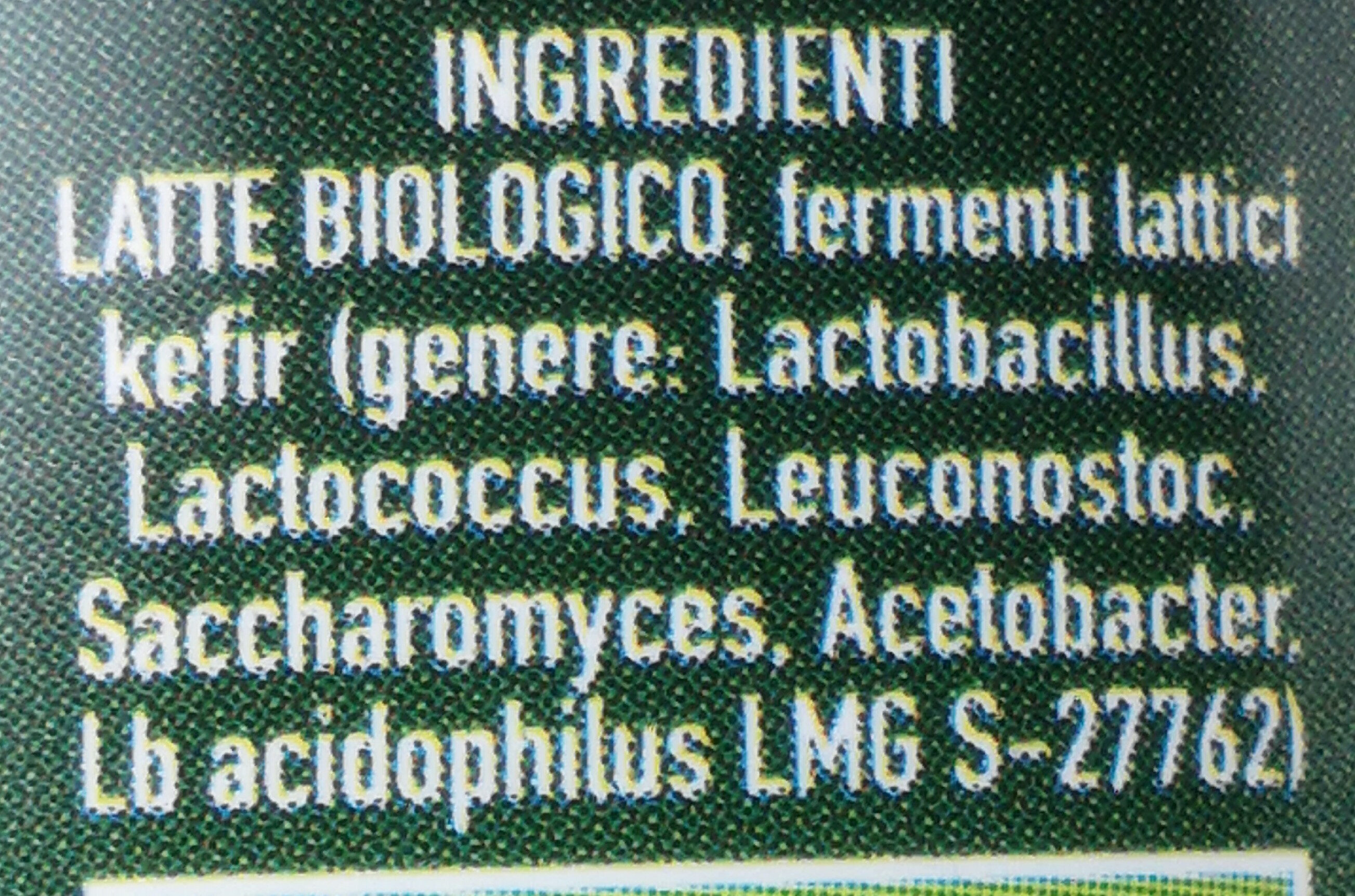 Kefir di latte bio - Ingredienti
