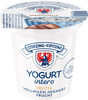 Yogurt intero - 125g - Gusto stracciatella - Prodotto