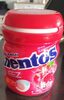 Mentos Chewing-gum - Product