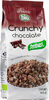Muesli Crunchy Chocolate - Producto