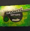 Trident senses rainforest mint - Produkt