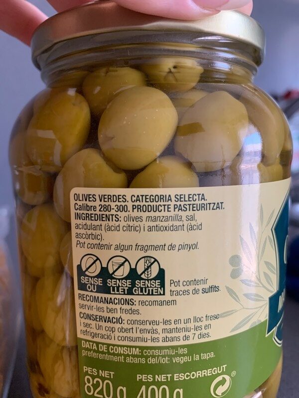 Olives sense pinyol manzanilla - Ingredients - es