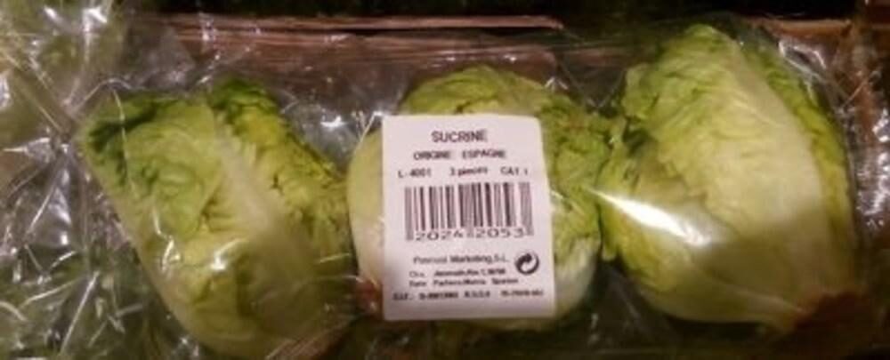 Salade Sucrine - Product - fr