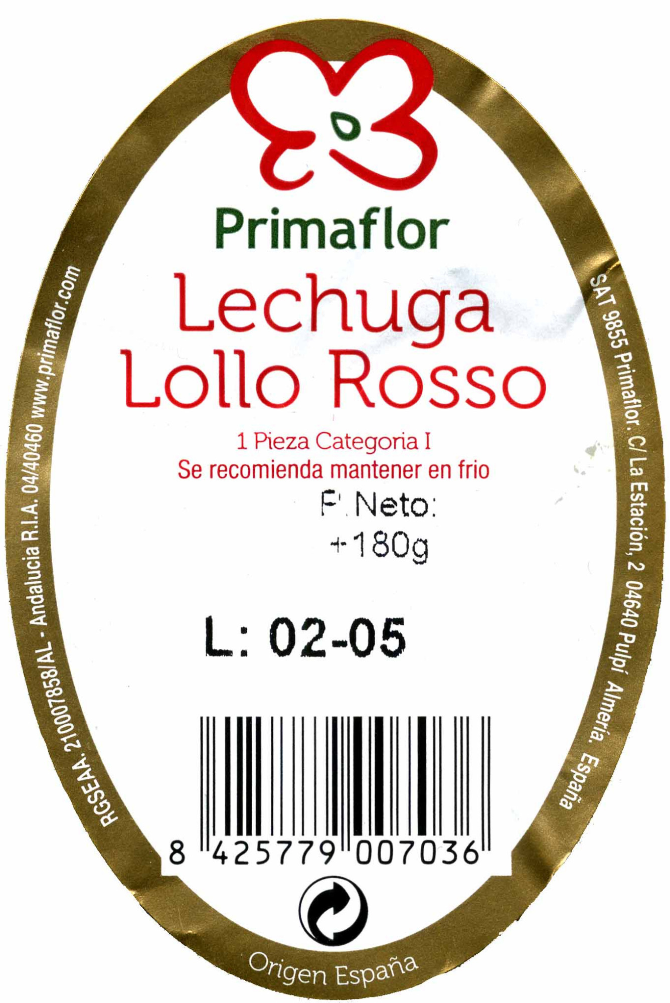 Lechuga Lollo rosso - Osagaiak - es