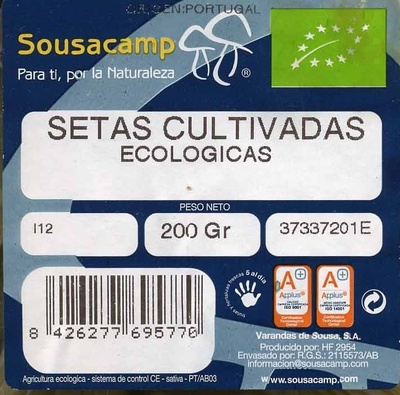 Setas de ostra ecológicas "Sousacamp" - Ingredients