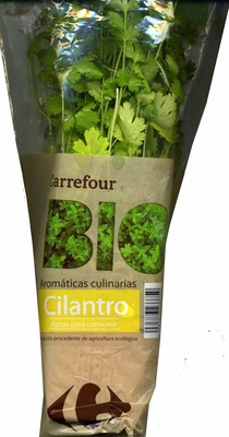 Maceta de cilantro - Product - es