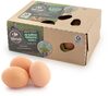 Huevos frescos Camperos - Product