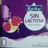 Sin lactosa yogur frambuesa - Produit