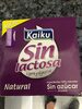 Sin lactosa yogur natural - Producte