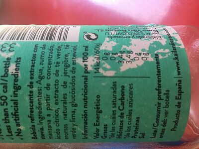 ICE TEA TE VERDE LIMA Y JENGIBRE 33CL - KAILANI - Ingredients