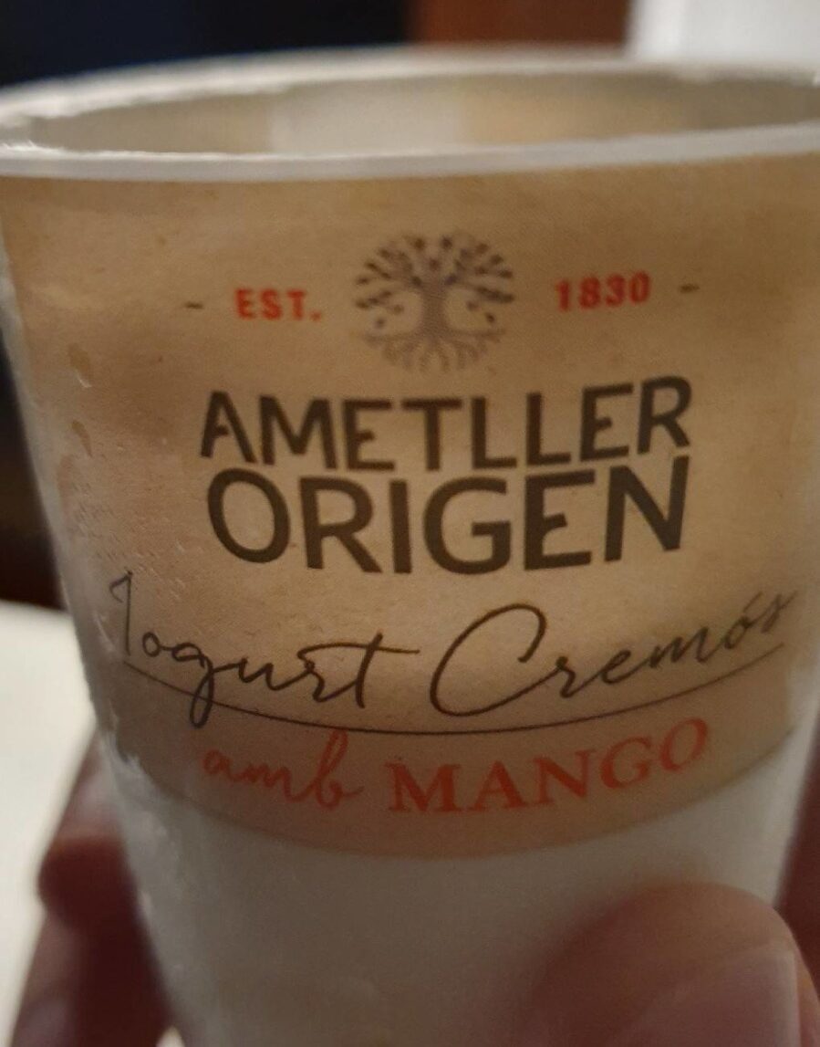 Iogurt cremos amb mango - Producte