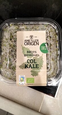 Brots germinats col kale - Product - es
