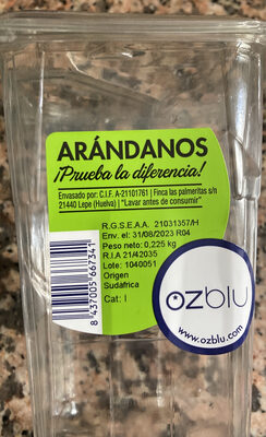 Arandanos - Producte - uk