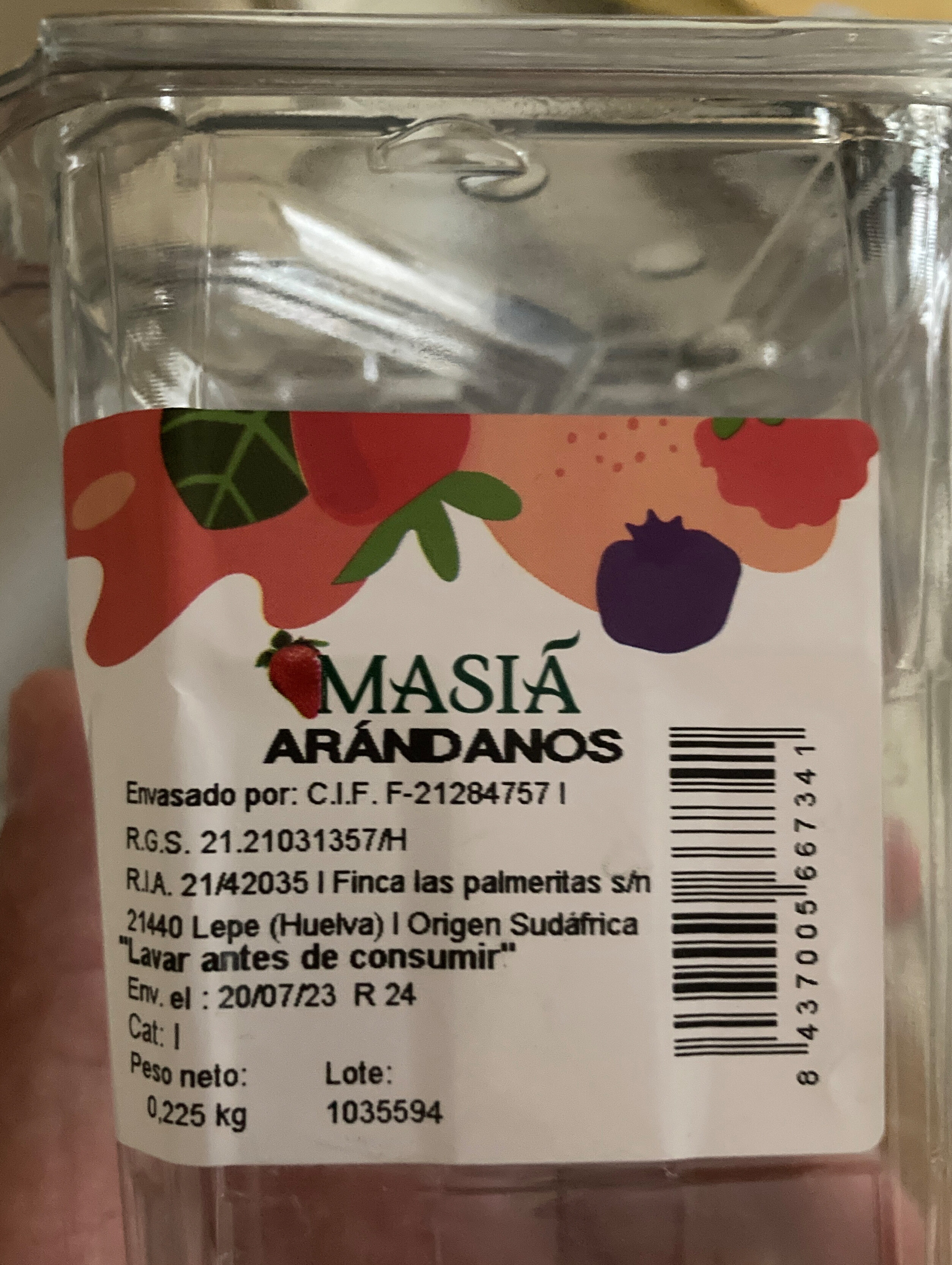 Arandanos - Ingredients - uk