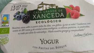 Yogur con frutas del bosque - Product - es