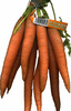 Zanahorias - Produit