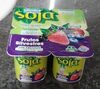 Yogourt soja con frutos silvestres - Product