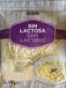 Queso lonchas Sin lactosa - Product