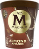 Magnum Crème Glacée en Pot Amande 440ml - Produto
