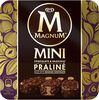Mini Chocolate & Hazelnut Praliné - Produkt