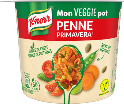 Knorr Plat Préparé Déshydraté Pâtes Penne à la Primavera Végétarien 72g - Product - fr