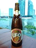 leo beer - Produkt