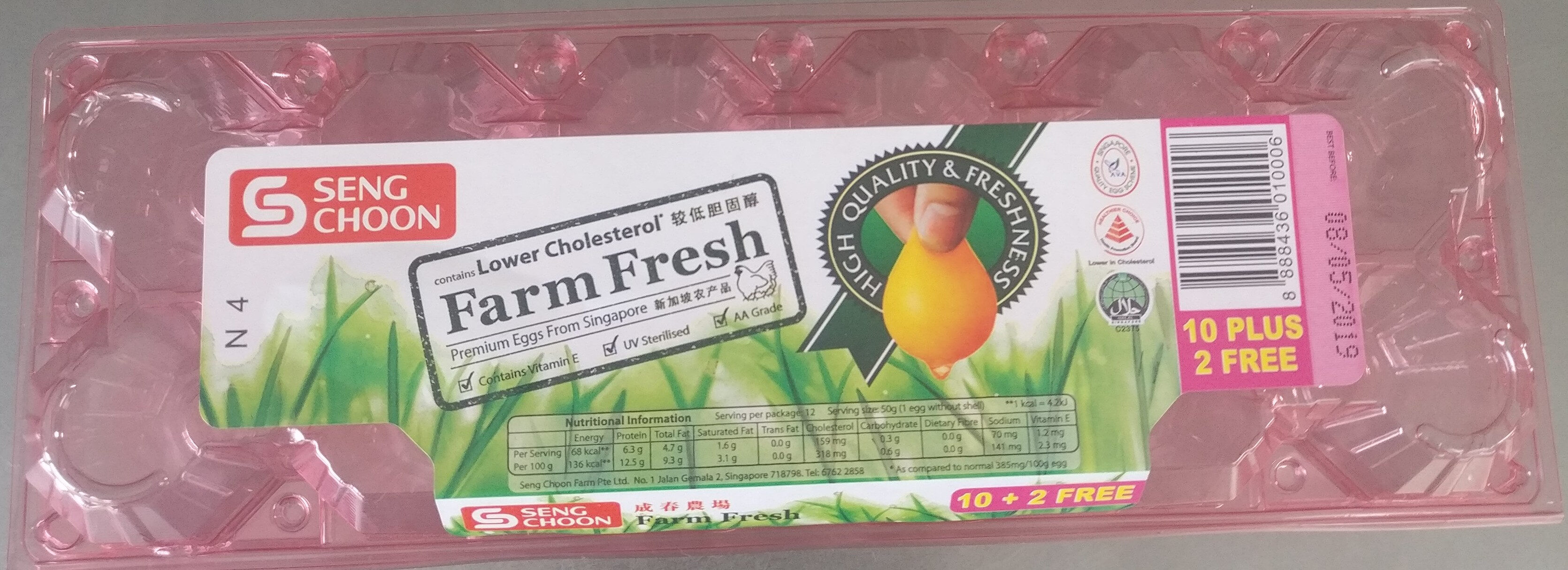 Farm Fresh Premium Eggs From Singapore - نتاج - en