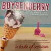 Boysenberry classic ice cream cones - Product