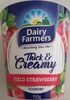Thick & Creamy Field Strawberry Yoghurt - Product