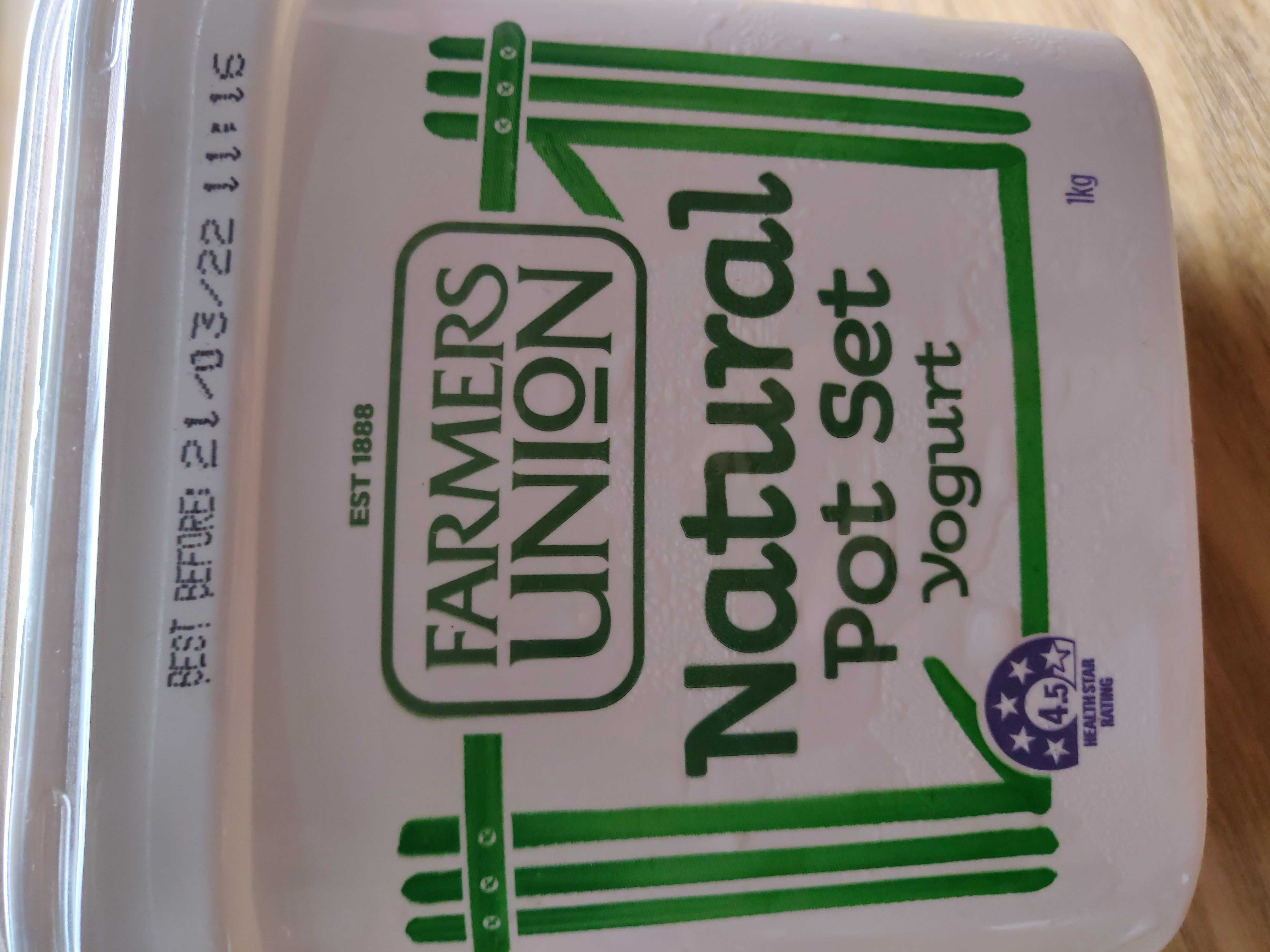 Natural Pot Set Yogurt - Product