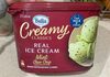 Mint choc chip icecream - Produkt