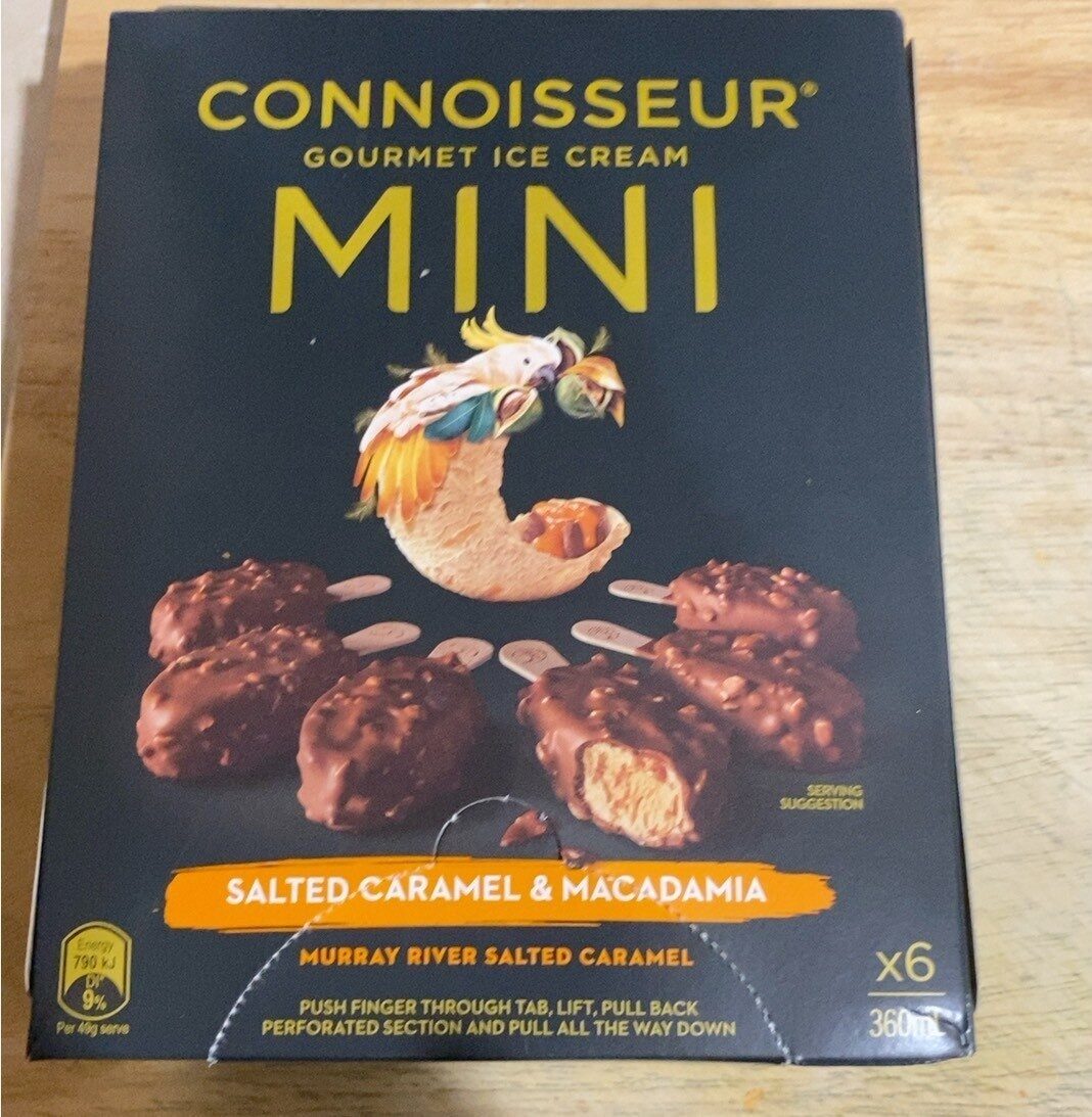 connoisseur mini ice cream salted caramel and macadamia - Product